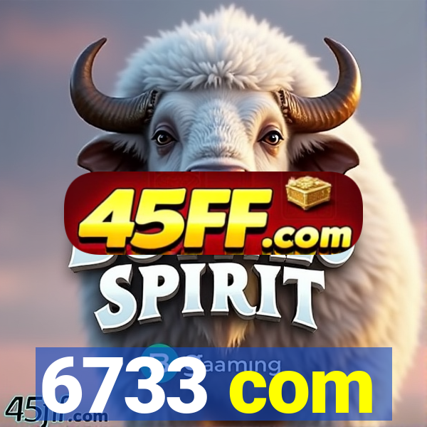 6733 com